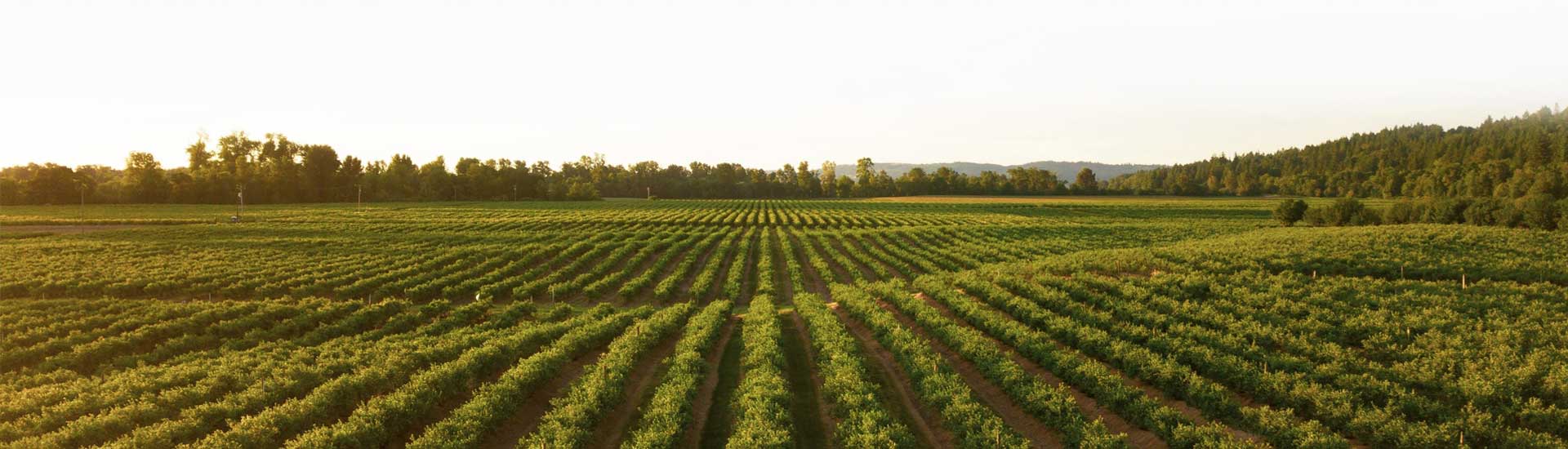 Dopunska izobrazba o sigurnom rukovanju s pesticidima i pravilnoj primjeni pesticida