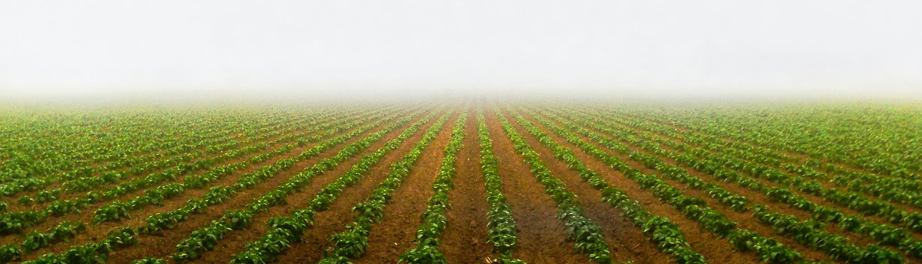 Dopunska izobrazba o sigurnom rukovanju s pesticidima i pravilnoj primjeni pesticida
