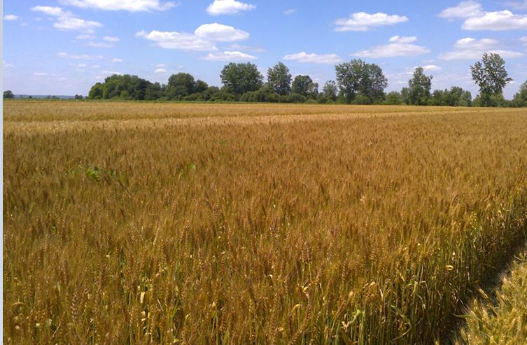 Dopunska izobrazba o sigurnom rukovanju s pesticidima i pravilnoj primjeni pesticida